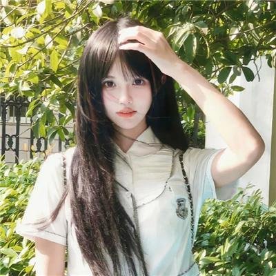 决不放弃 封面