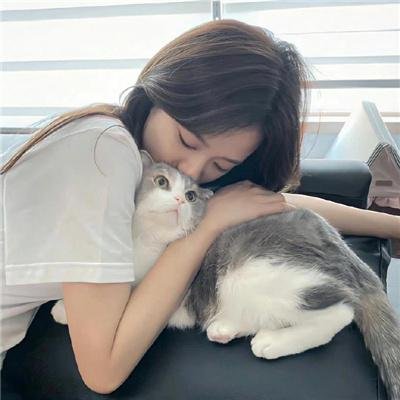 小马王 封面